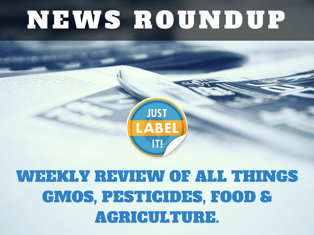 News Round Up
