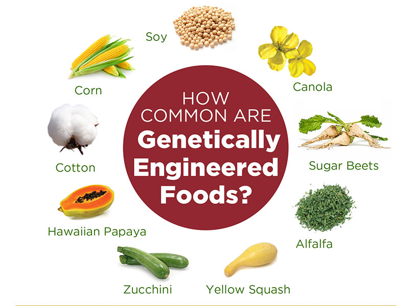 29 Bioengineered Food Label Labels Ideas For You